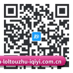 系统版 iOS 二维码